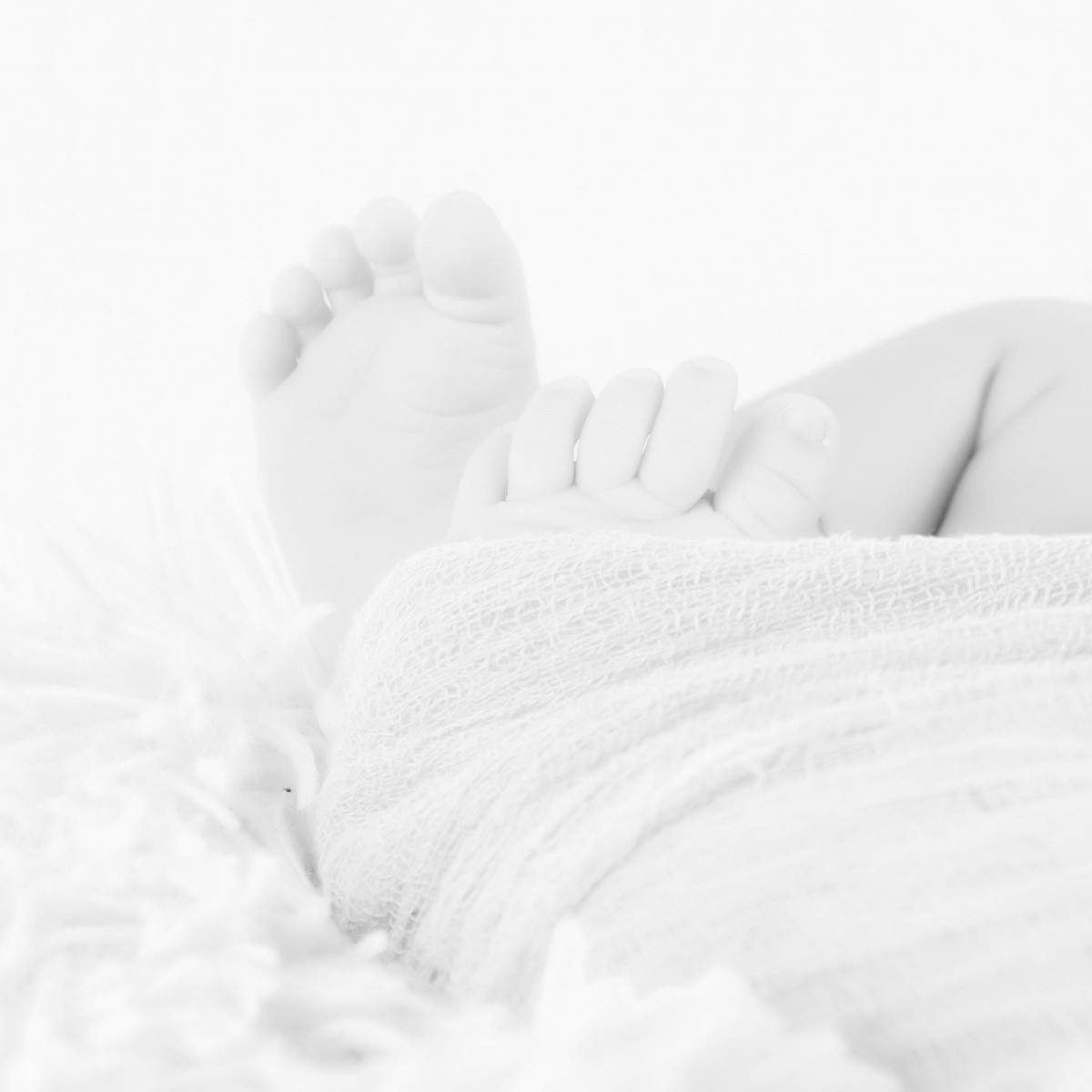 photographe Bébé naissance